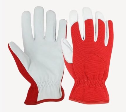 Gloves Design 59
