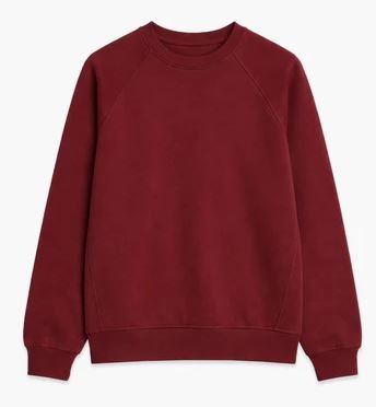 Sweat Shirt Design 10